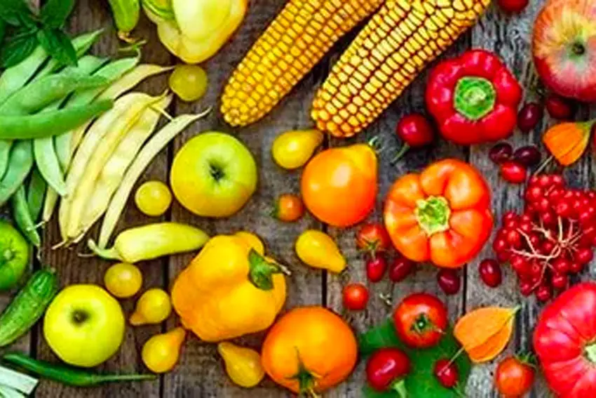 selection of fresh vegetables